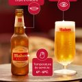 Mahou 5 estrellas 33cl 