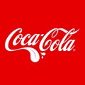 Coca Cola, Lata 33cl